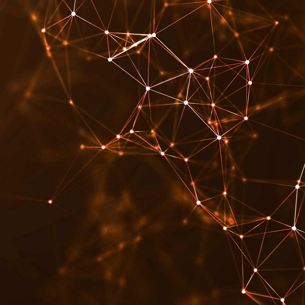 network-support-60445a0946411